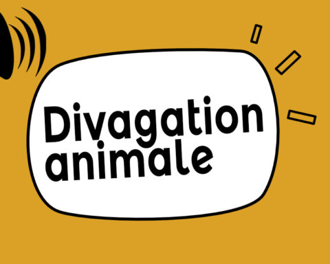 Divagation animale