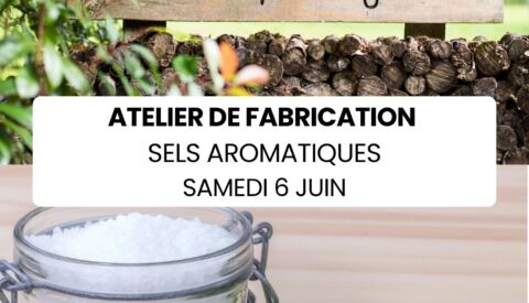 atelier-sels-aromatiques à Saint-Launeuc